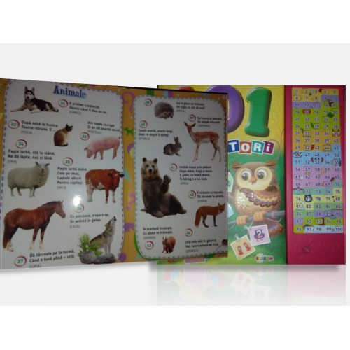 Sound Book - 101 Riddles
